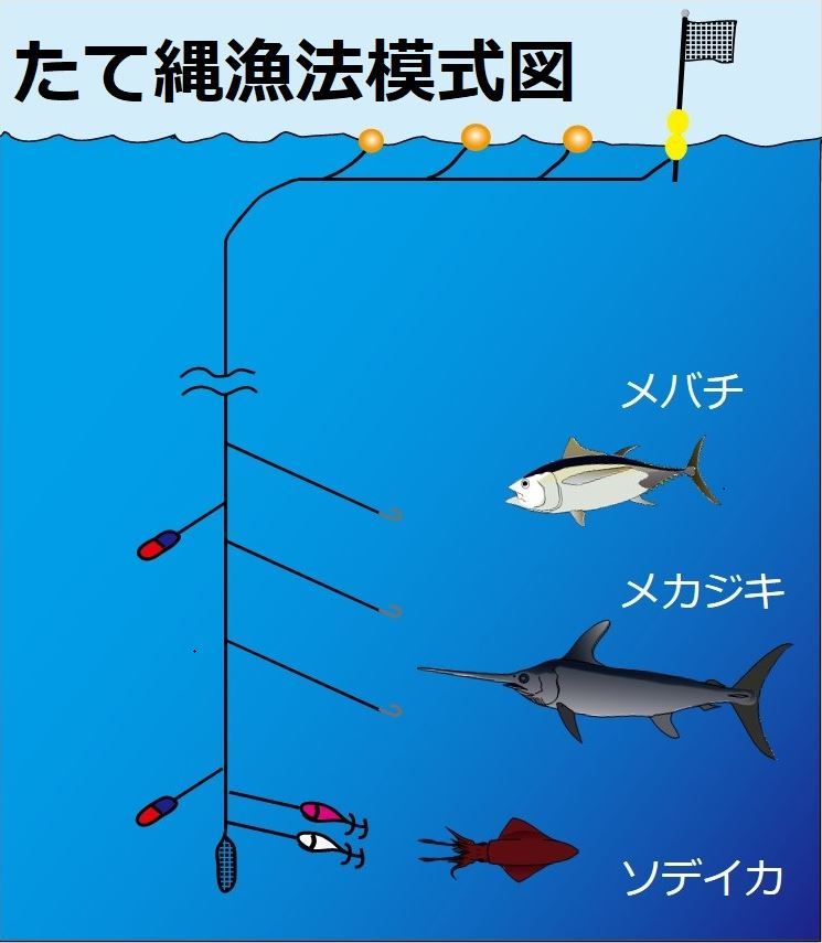 たて縄漁法模式図.JPG