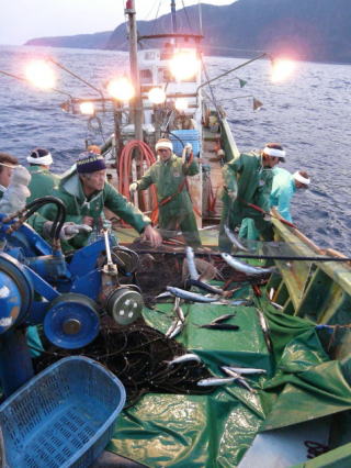 とびうお流し刺し網漁業 画像