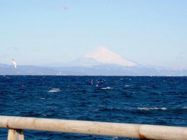 元町港から見た富士山