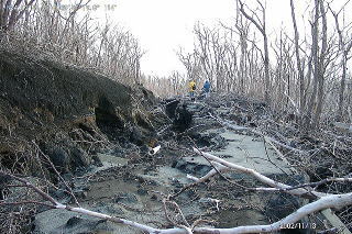 泥流被害を受けた環状林道 画像