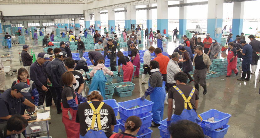Picture of Market of Soma Futaba Fisherman's Association