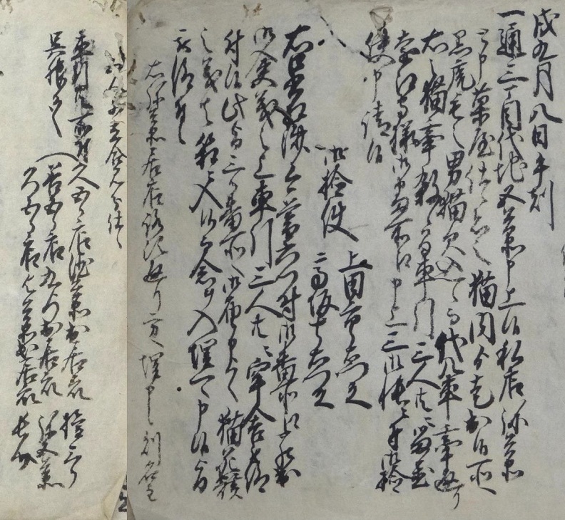 猫、大八車に牽かれる