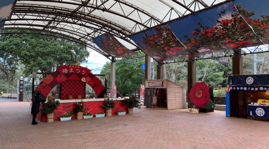 大島 椿プラザ(椿まつり会場)