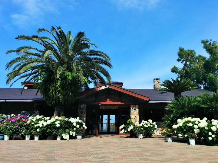 椿資料館の画像