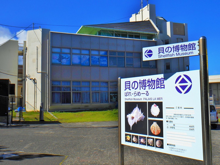 貝の博物館の画像