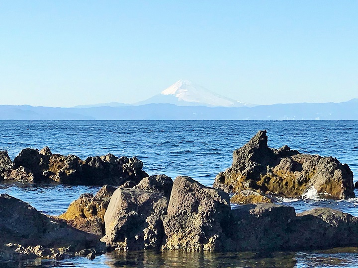パームラインからの富士山の画像