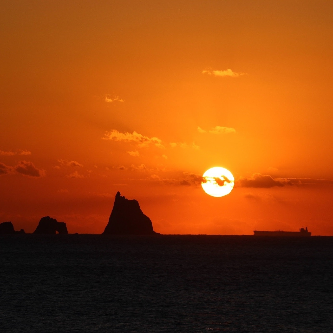 三宅島帰島１０周年記念事業特設ページ 画像4