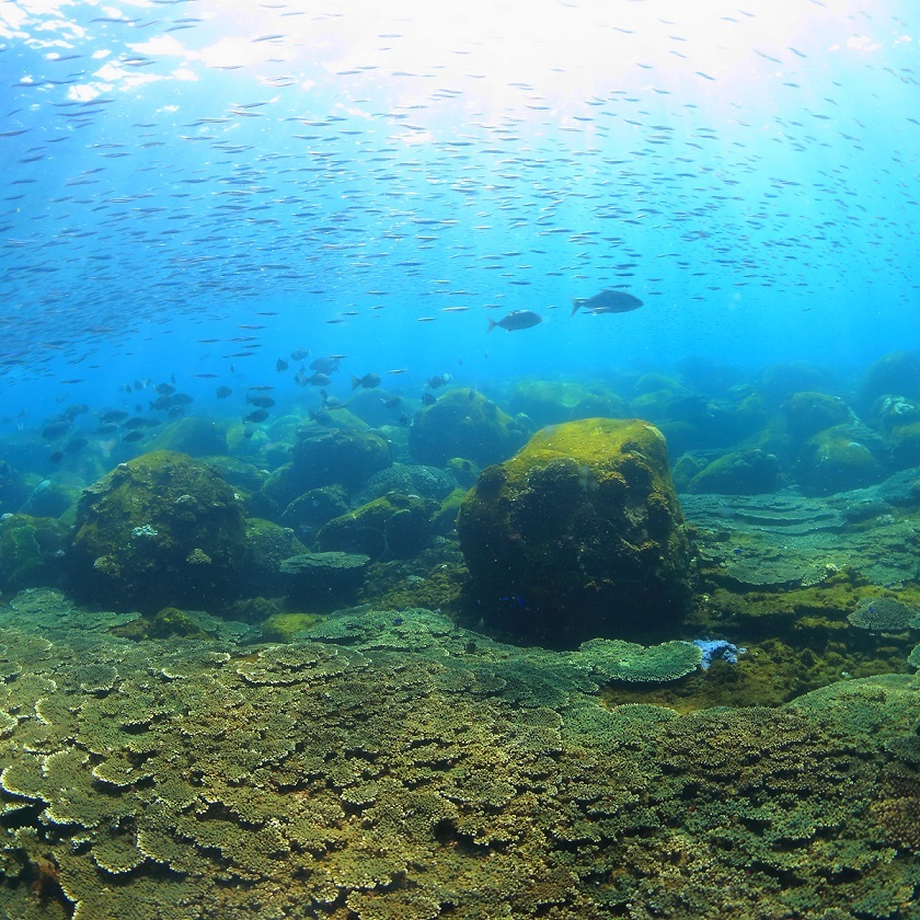 帰島１０周年記念事業 画像2