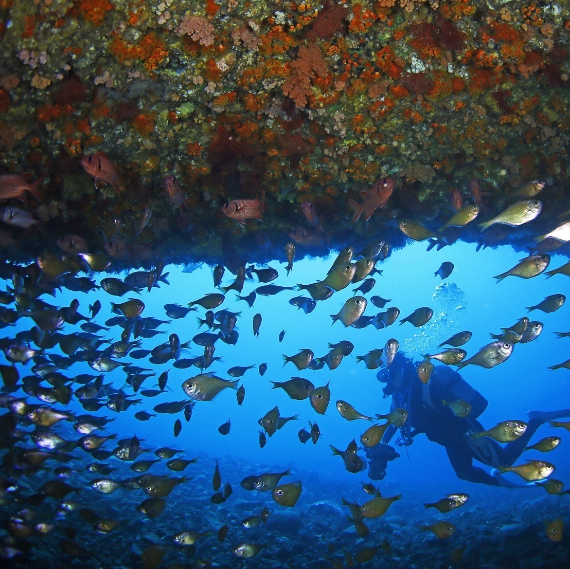 帰島10周年までのあゆみ 画像1