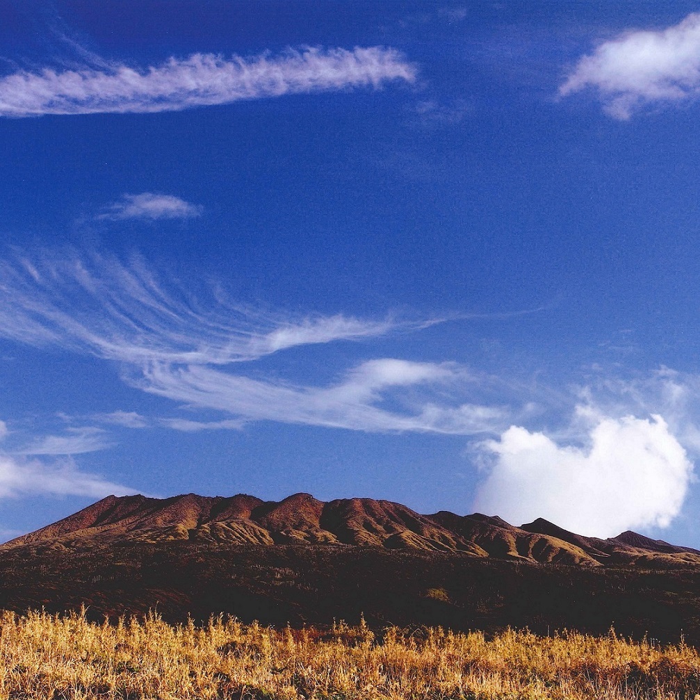 帰島10周年までのあゆみ 画像2