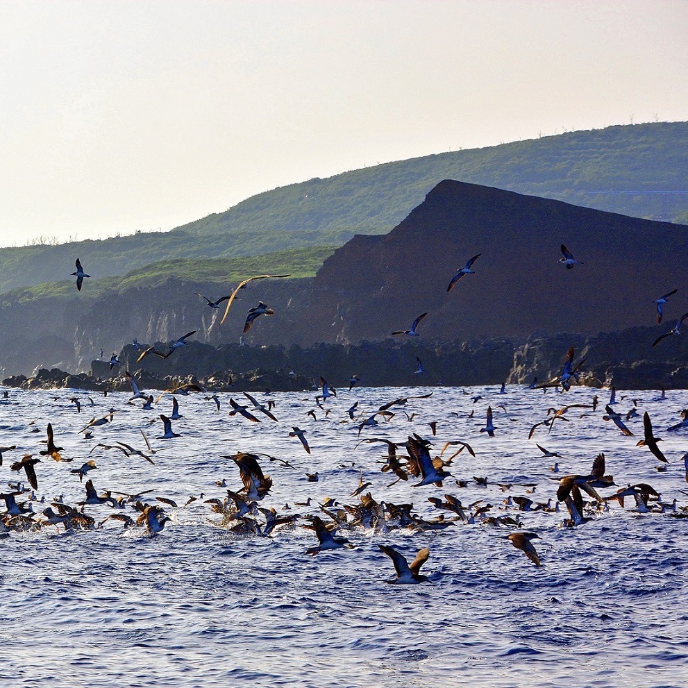 三宅島写真館 画像2