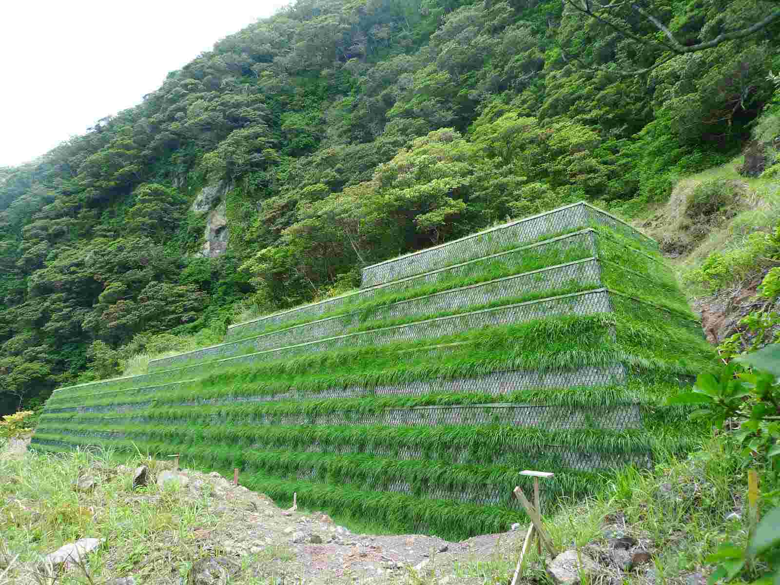 青ヶ島の治山施設