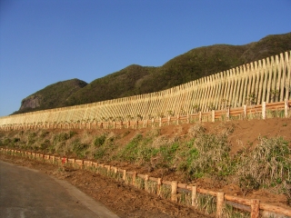 八丈島の保安林施設