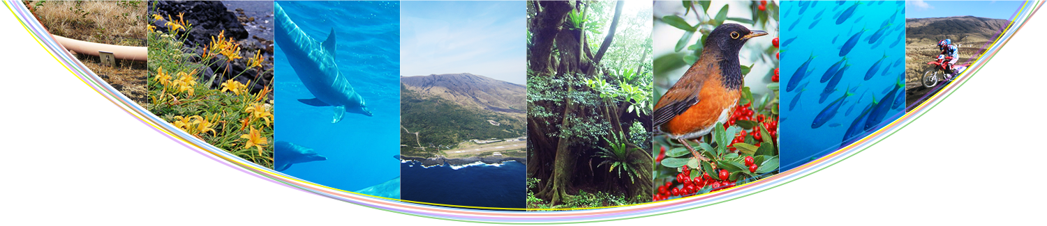 【グローバルメニュー直下画像】