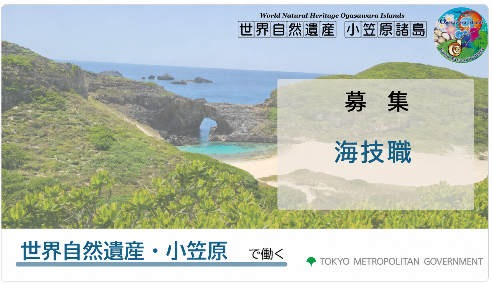 サンプル