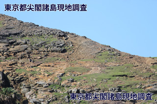 表層土の流失