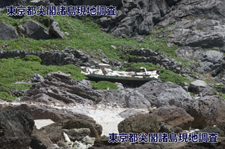 南小島の難破船