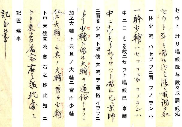 披露口5