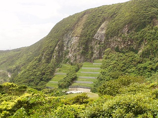 治山事業 写真