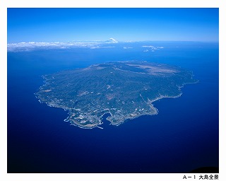 大島全景