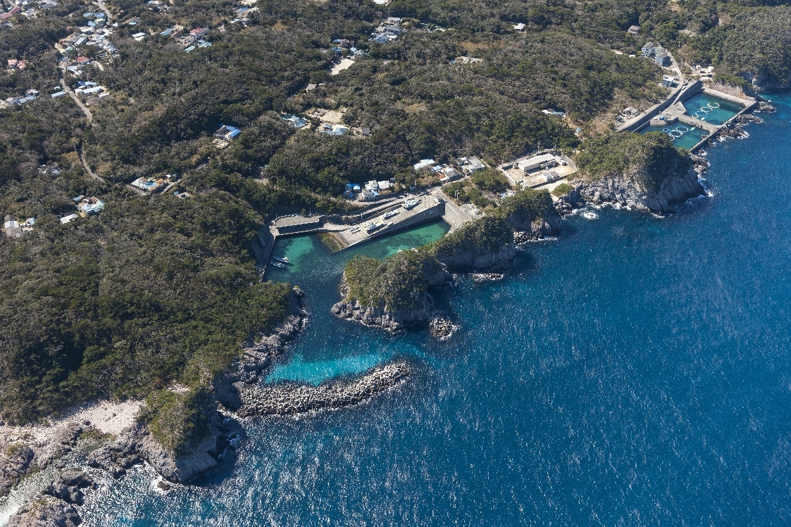 小浜漁港全景