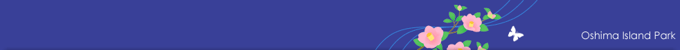 header_bg.gif