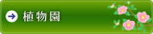 top_menu1