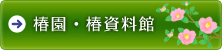top_menu2