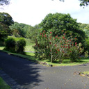 p_garden01.jpg