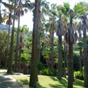p_garden03.jpg