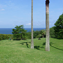 p_garden05.jpg