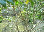 p21.jpg