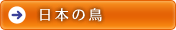 menu_map_03.gif
