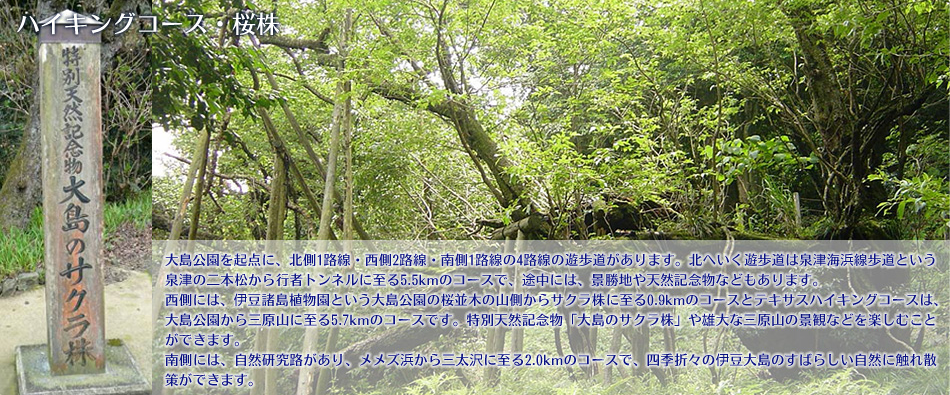 hiking_top.png