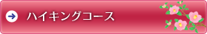 top_menu1.gif