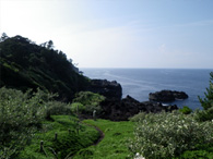 p_05.jpg