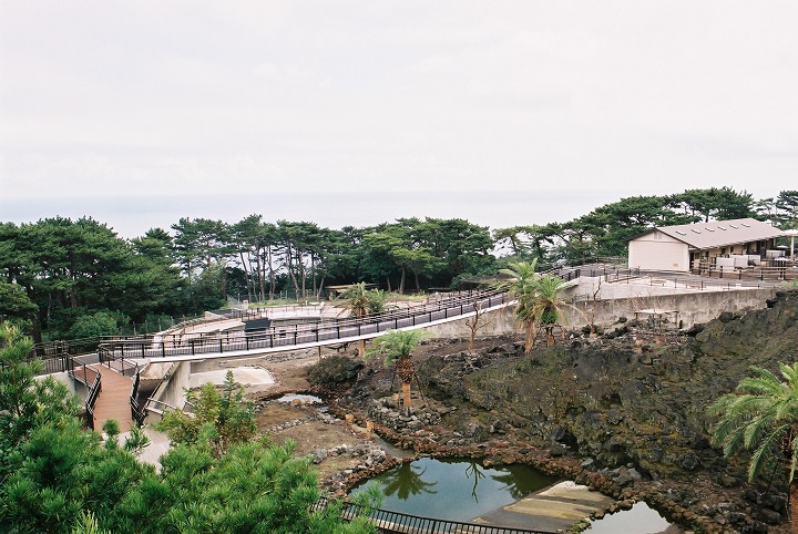 r1_05.jpg