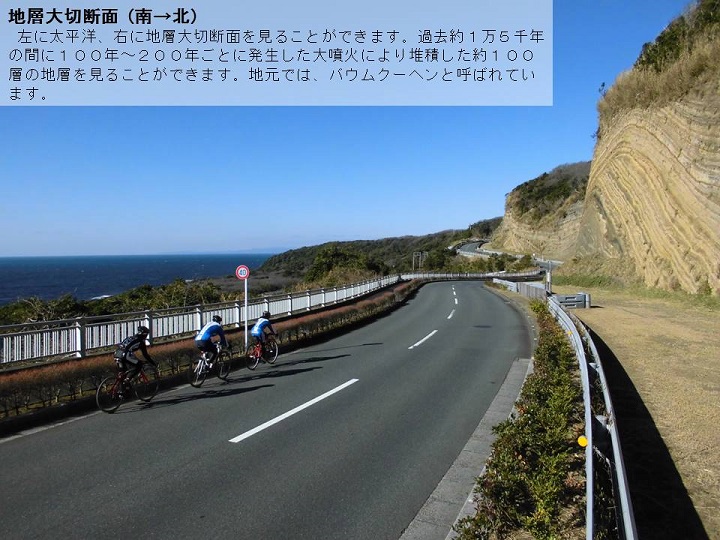 地層大切断面（南→北）の画像