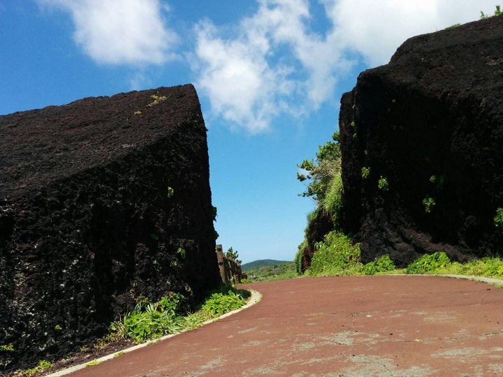 赤禿（あかっぱげ）の画像