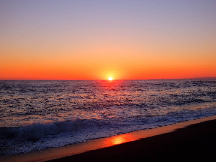 パームラインからの夕焼けの画像