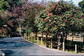 park1