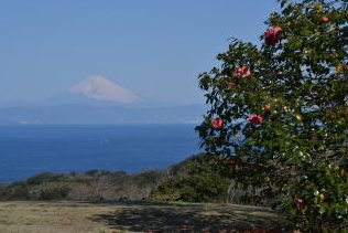 garden1