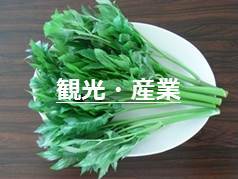 観光・産業