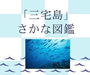 miyakejima-sakanazukann.jpg
