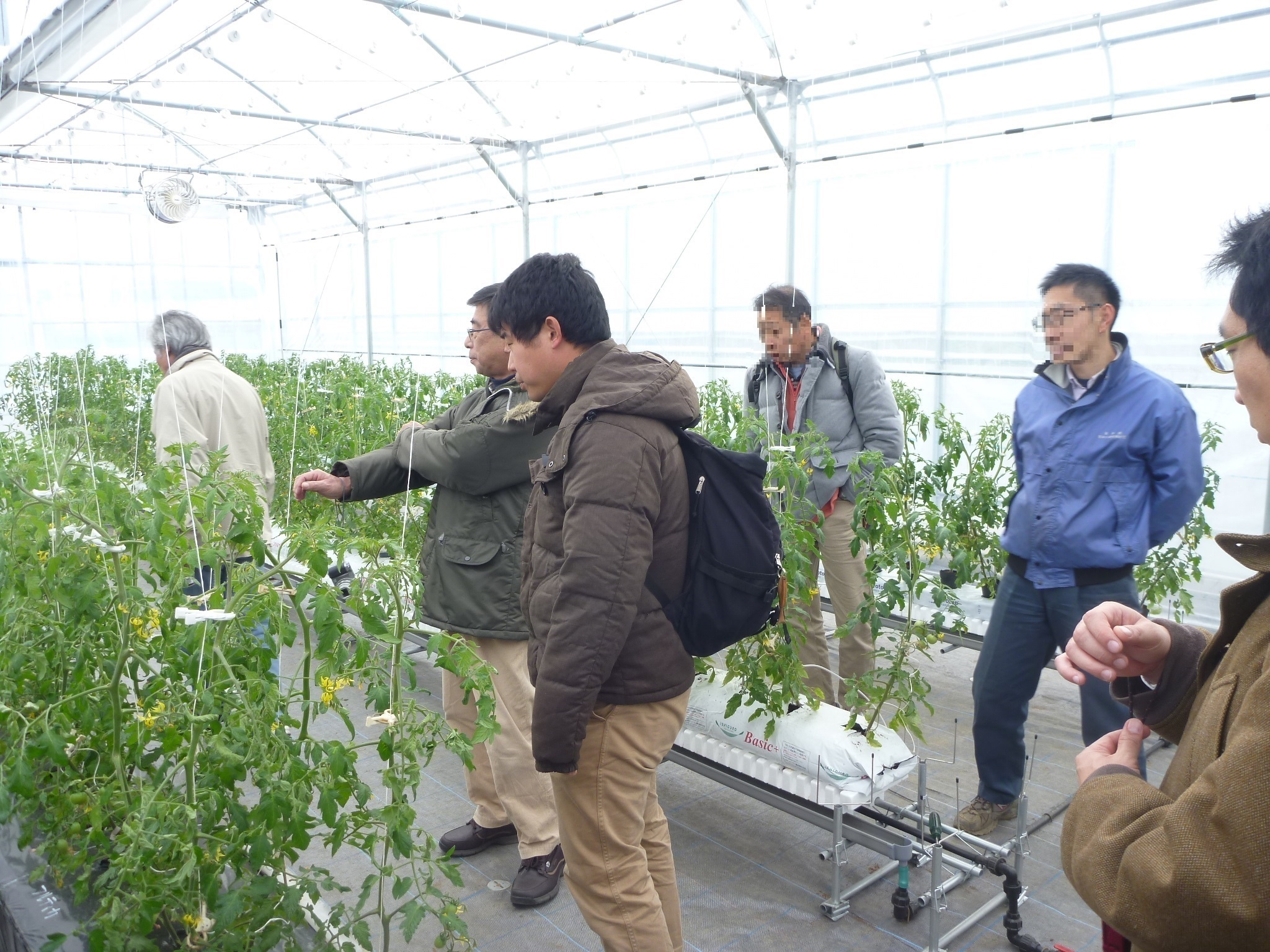 認定農業者の視察研修会