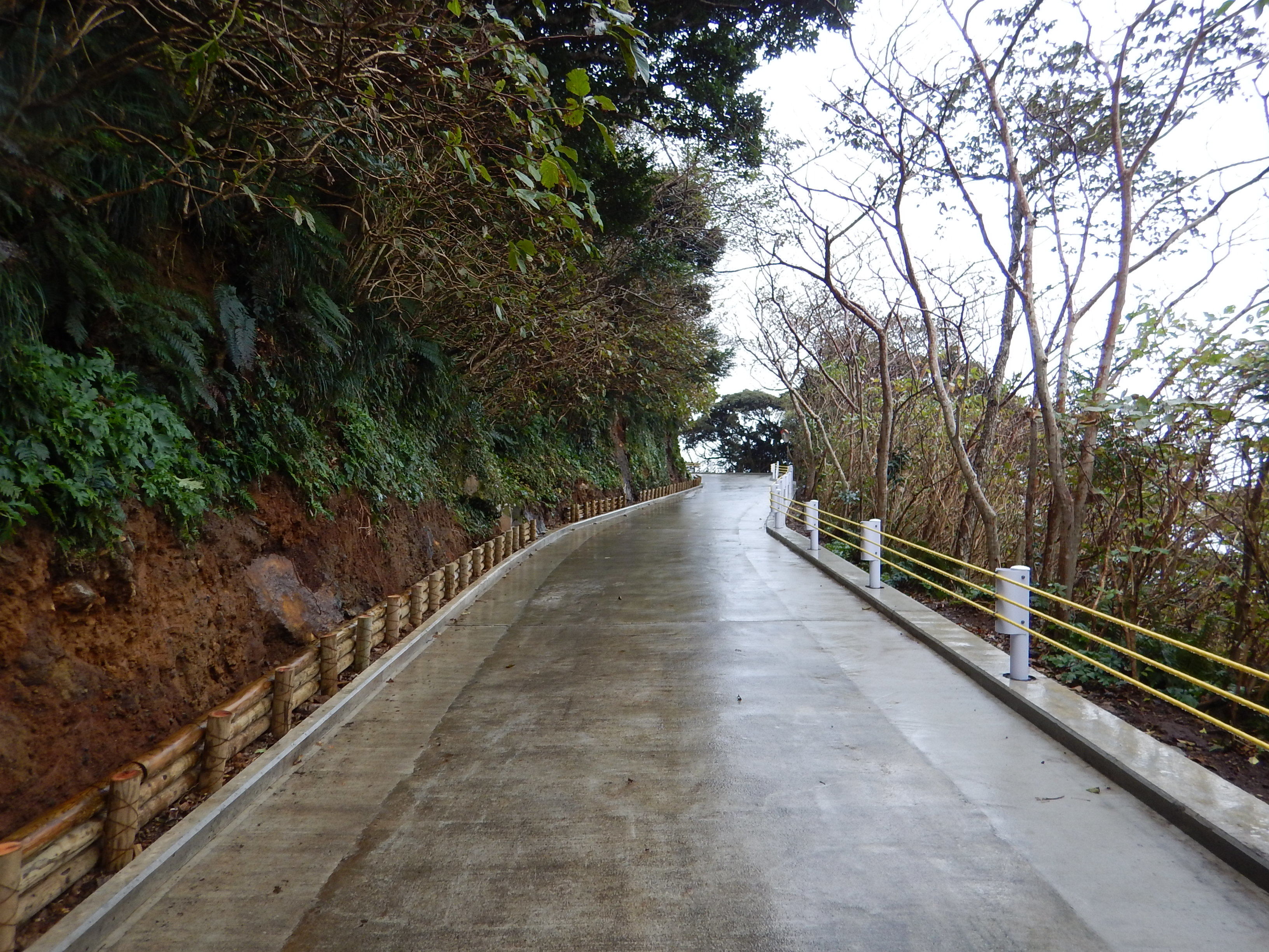 黒崎高尾林道 画像