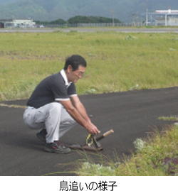 鳥追い