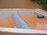 10_p11.jpg