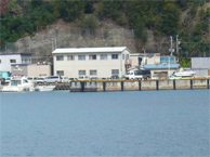 12_p05.jpg