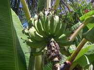 13_p03.jpg